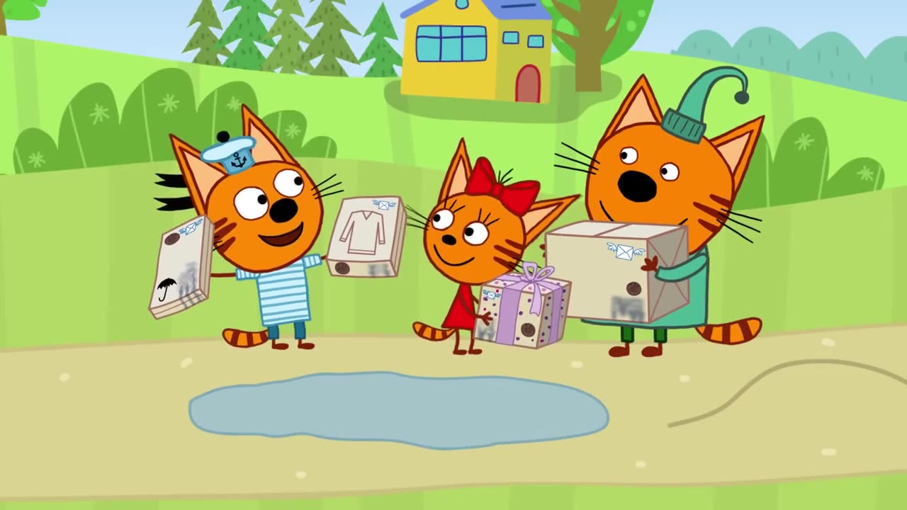 Three Cats