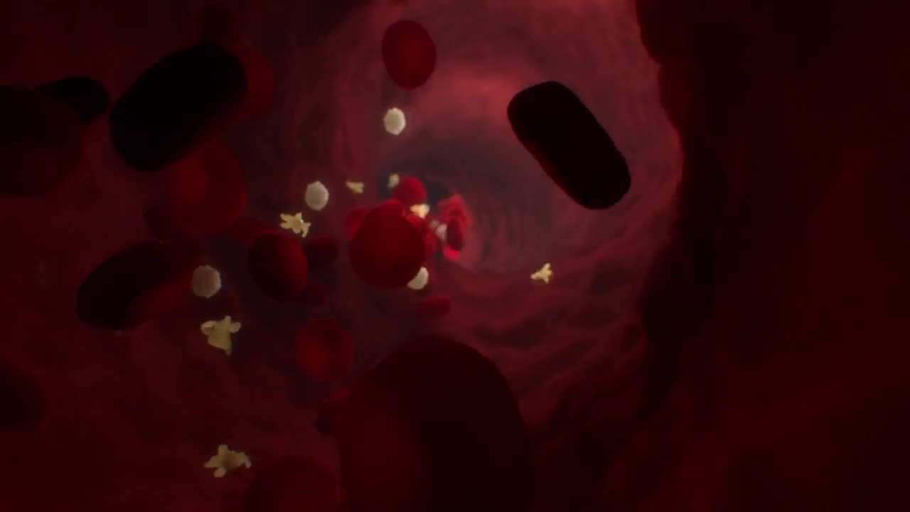 Қисми 3